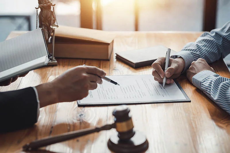Intellectual Property Transactions and Litigation